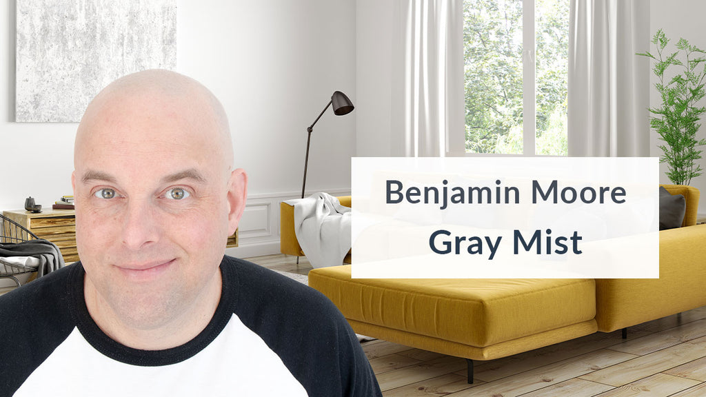 Benjamin Moore Gray Mist Color Review