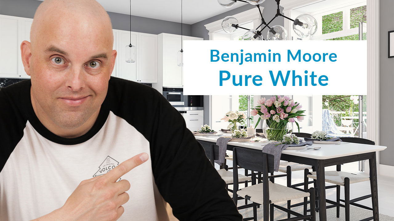Pure white paint online