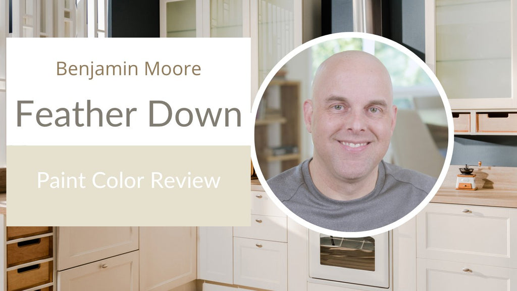 Benjamin Moore Feather Down Paint Color Review