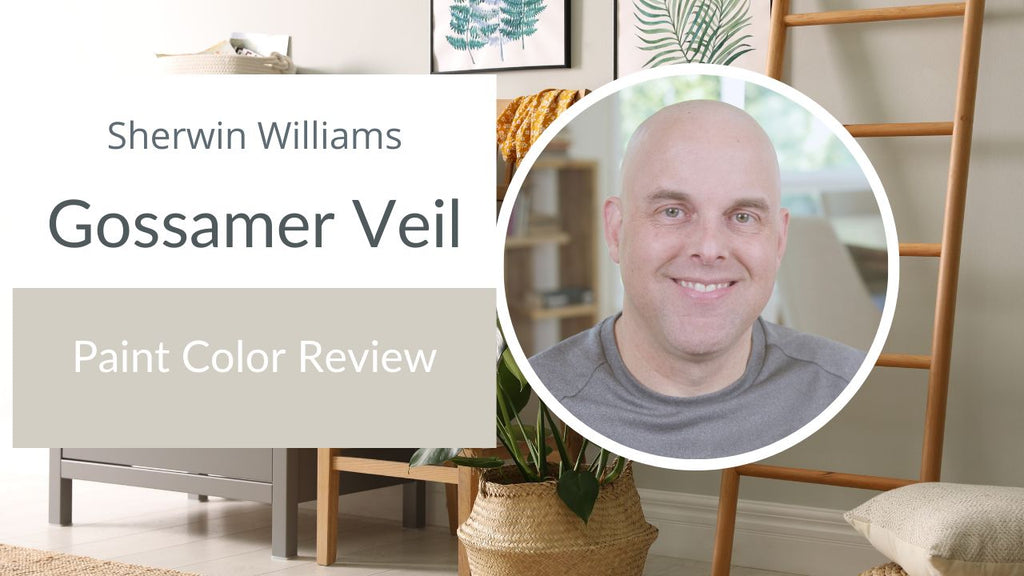 Sherwin Williams Gossamer Veil Paint Color Review