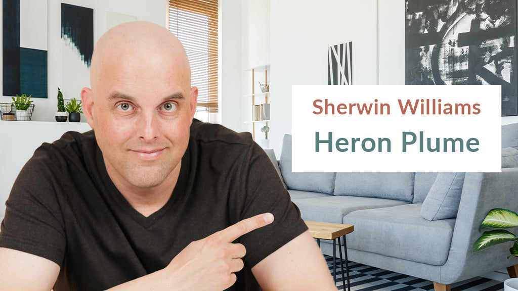 Sherwin Williams Heron Plume Color Review