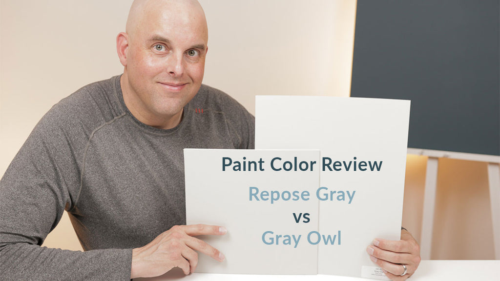 Sherwin Williams Repose Gray and Benjamin Gray Owl Color Review