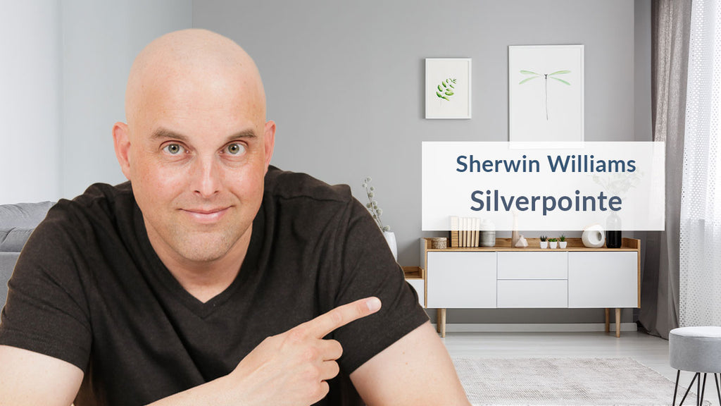 Sherwin Williams Silverpointe Color Review