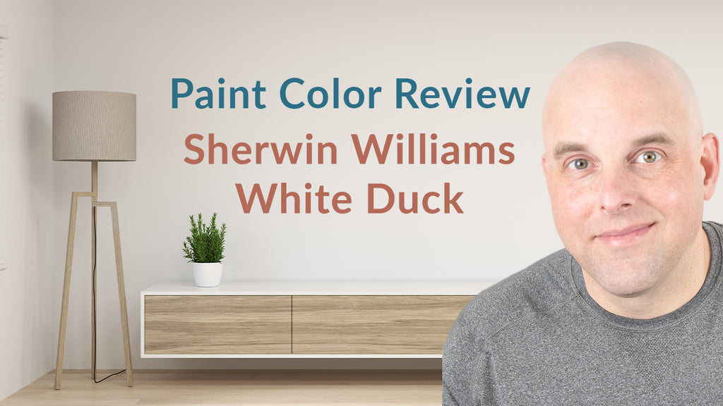 Sherwin Williams White Duck Color Review